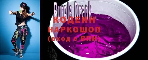 твердый Инта