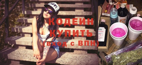 мдпв Елабуга