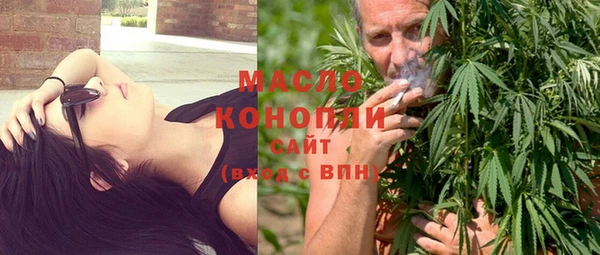 твердый Инта