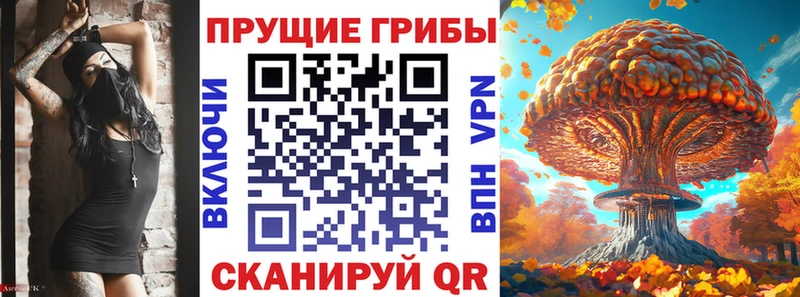 Галлюциногенные грибы мицелий ОМГ ОМГ ONION Порхов